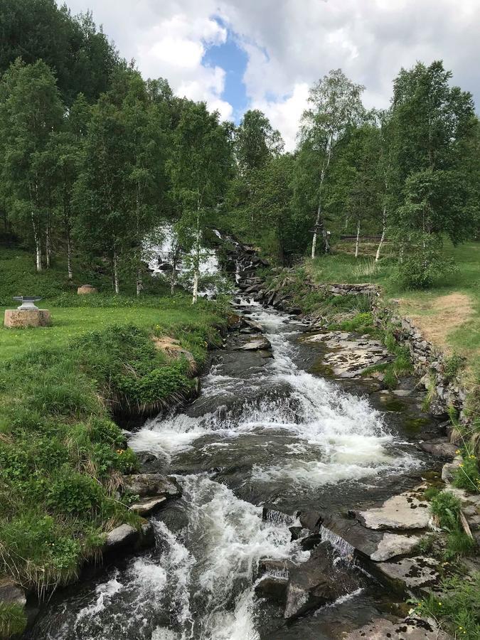 Malmplassen Bed & Breakfast Tolga エクステリア 写真